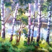 "Березки у реки"