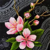 Ветка цветущей вишни