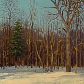 Ёлочка, пережившая Новый год