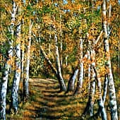 Лесная дорога  Forest Road