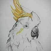 " Иннокентий "