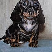 Малышка Брава