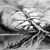 Туман, рассвет.