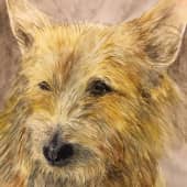 Спокойствие