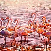 Фламинго в Испании.