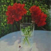 Соседская герань