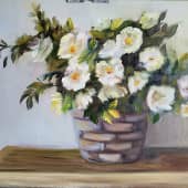 Белый шиповник