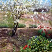 Вишня расцвела