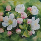 Дыхание весны