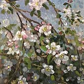 Цветущая ветка яблони