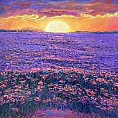 Море цветов