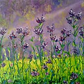 "Лучик солнца"