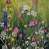 Полевые цветы