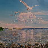 Полёт чайки