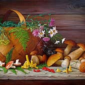 Лесное лукошко - грибная обитель.