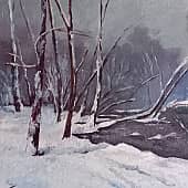 У лесного озера