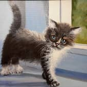 Котёнок ( по видео ролику Вугара Мамедова)