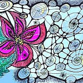 паутиновый рай