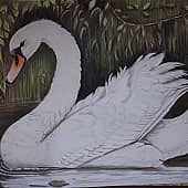 Тихая заводь