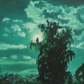 Прикинулась деревом ведьма,но выдал её чёрный ворон...