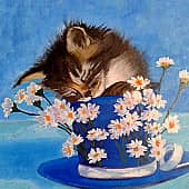 "Милый котёнок"