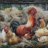 Петух и курицы