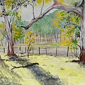 В старом парке