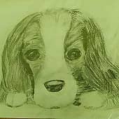 Милый щенок