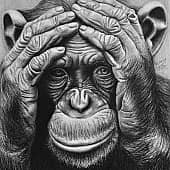 Размышления