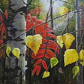 Солнечная паутинка осеннего леса