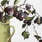 Сливы на белом