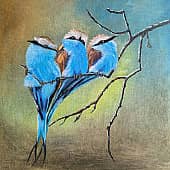 На солнышке