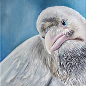 Белый ворон