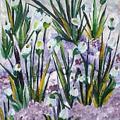 Первые лучики весны