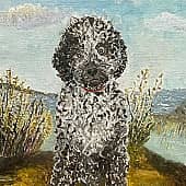 Любимый питомец - Жета