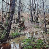 Лесными тропами