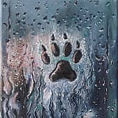 "Прикосновение"