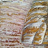 Золотой Выход