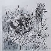 Луговая "птичка"