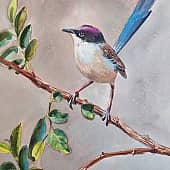 Австралийская птичка