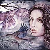 Ночные птицы