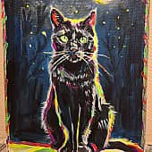 Магический кот