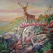 На вершине.