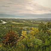 После дождя