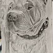 На прогулке.