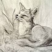 С добрым утром