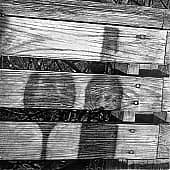 Дачные тени