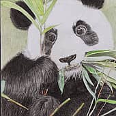 Бамбуковый завтрак