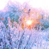 утро нового дня