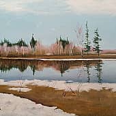 Старица весенняя